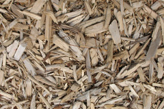 biomass boilers Lawnhead